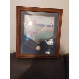 17" x 15" Desantis Framed Baseball Print
